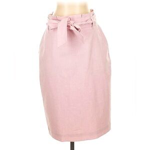 Ann Taylor Pink Pencil Skirt Size 10